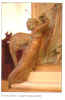angelotromba2.jpg (147643 byte)