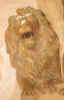 leone.jpg (79672 byte)