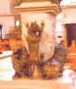 zoo.jpg (167037 byte)